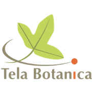 Logo_Tela%20botanica